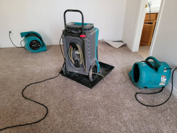 Best Water damage restoration near me  in Sesser, IL