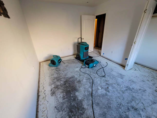 Sesser, IL Water damage restoration Company