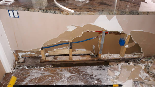 Best Local water damage restoration  in Sesser, IL