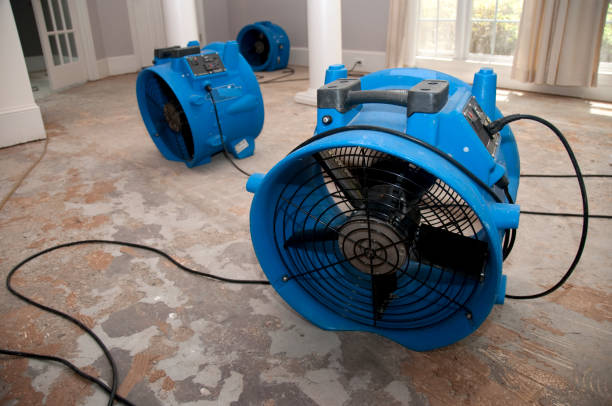 Professional Water damage restoration in Sesser, IL