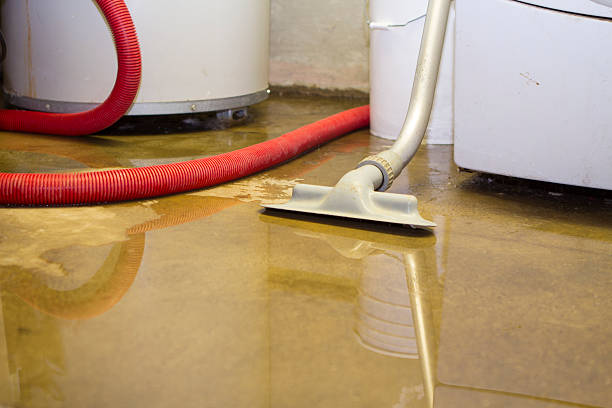 Best Flooded house restoration  in Sesser, IL