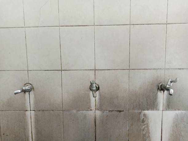  Sesser, IL Water damage restoration Pros