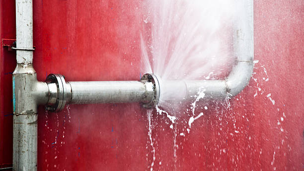 Best Water damage restoration experts  in Sesser, IL