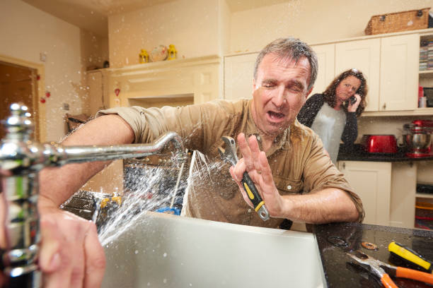 Best Flood damage cleanup  in Sesser, IL